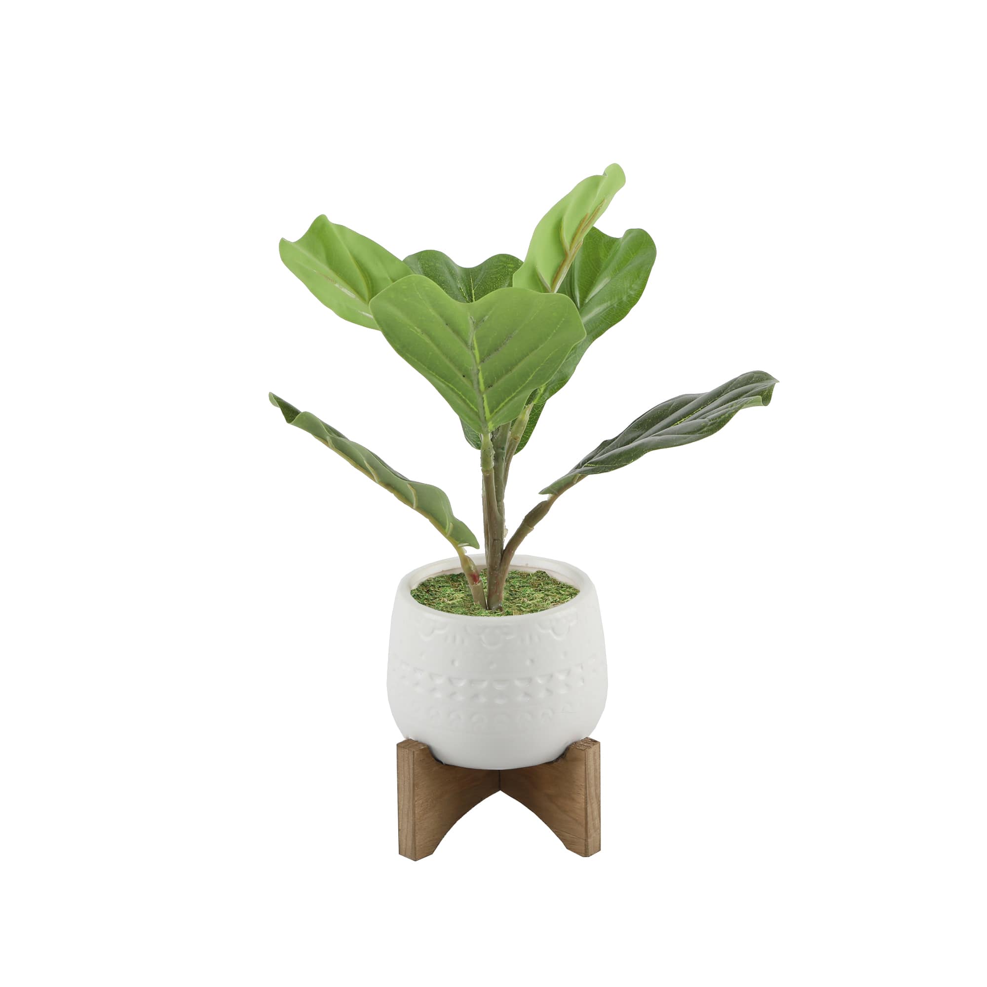 Flora Bunda® 12" Fiddle In 3.5" Mayan Ceramic Pot On Stand
